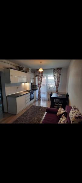 Diana Apartament